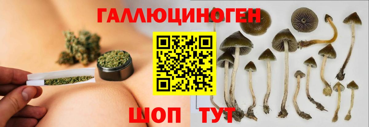Галлюциногенные грибы GOLDEN TEACHER  Вход с VPN  Сокол 